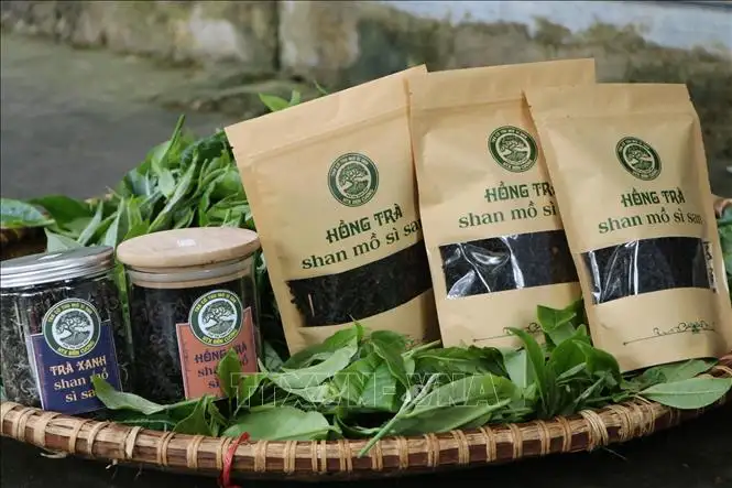 Hồng trà Shan Mồ Sì San 200g/lọ