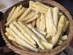 Măng lá nứa