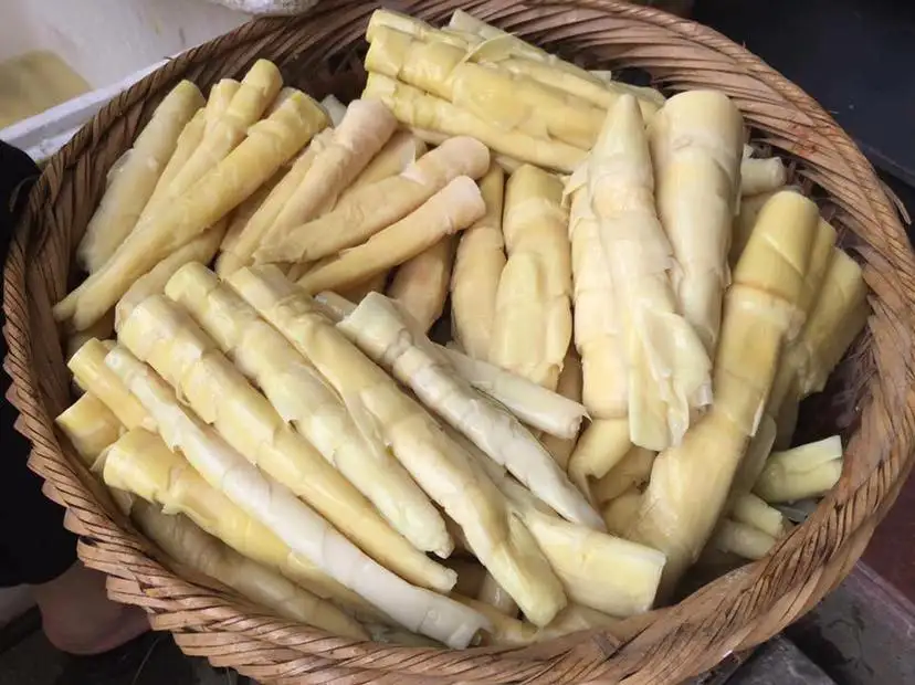 Măng lá nứa