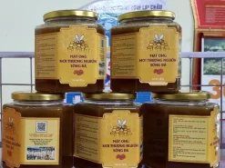 Mật ong Hoa Thiên Nhiên Dào San Hộp Xanh