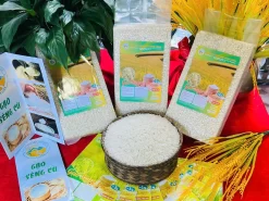 Gạo Séng Cù
