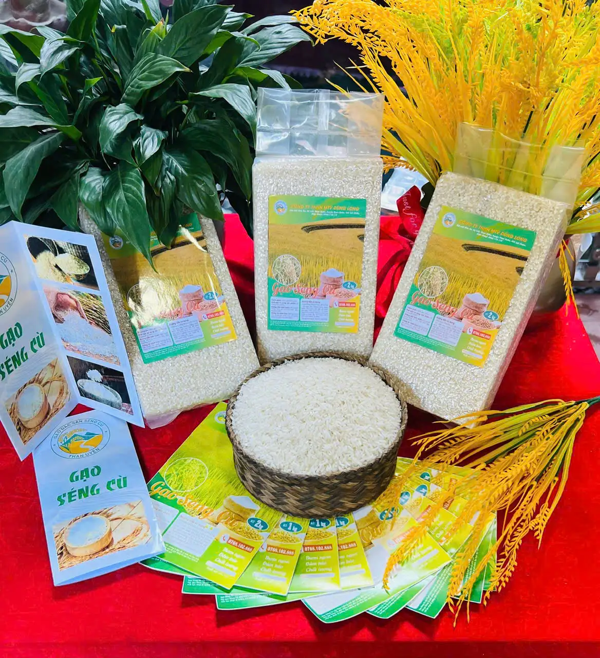 Gạo Séng Cù